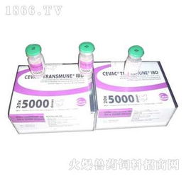 鄭州翰威畜牧科技 獸藥飼料火爆招商，賦能現代畜牧漁業新篇章